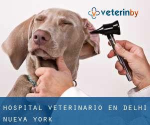 Hospital veterinario en Delhi (Nueva York)