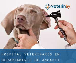 Hospital veterinario en Departamento de Ancasti