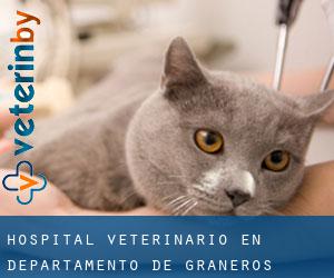 Hospital veterinario en Departamento de Graneros