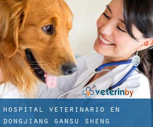 Hospital veterinario en Dongjiang (Gansu Sheng)