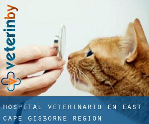 Hospital veterinario en East Cape (Gisborne Region)
