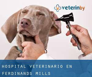 Hospital veterinario en Ferdinands Mills