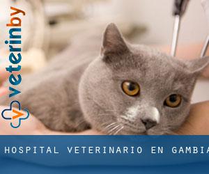 Hospital veterinario en Gambia