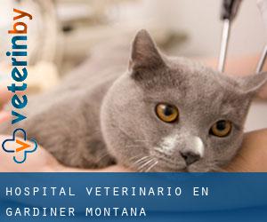 Hospital veterinario en Gardiner (Montana)
