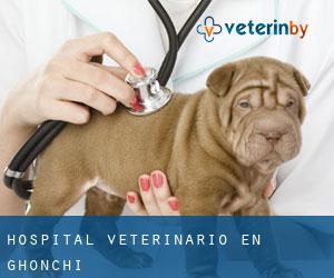 Hospital veterinario en Ghonchí