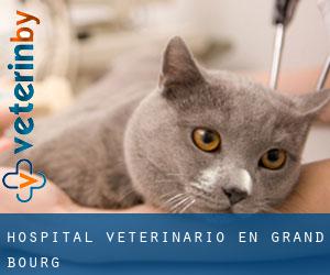 Hospital veterinario en Grand-Bourg