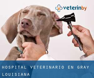 Hospital veterinario en Gray (Louisiana)