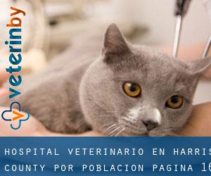 Hospital veterinario en Harris County por población - página 16