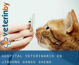 Hospital veterinario en Jindong (Gansu Sheng)