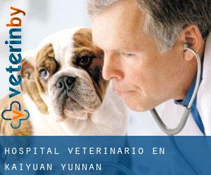 Hospital veterinario en Kaiyuan (Yunnan)