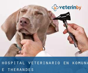Hospital veterinario en Komuna e Thërandës