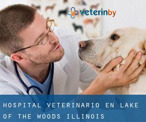 Hospital veterinario en Lake of the Woods (Illinois)