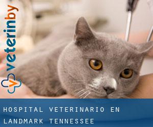 Hospital veterinario en Landmark (Tennessee)