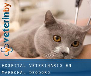 Hospital veterinario en Marechal Deodoro