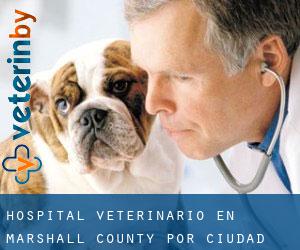 Hospital veterinario en Marshall County por ciudad importante - página 1