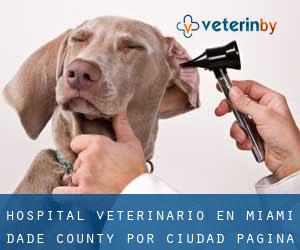 Hospital veterinario en Miami-Dade County por ciudad - página 4