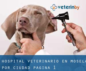 Hospital veterinario en Mosela por ciudad - página 1