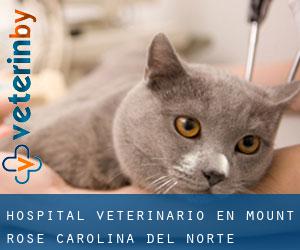 Hospital veterinario en Mount Rose (Carolina del Norte)