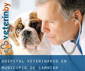 Hospital veterinario en Municipio de Camotán