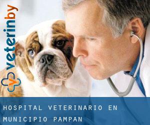 Hospital veterinario en Municipio Pampán