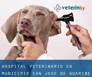 Hospital veterinario en Municipio San José de Guaribe