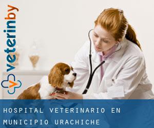 Hospital veterinario en Municipio Urachiche