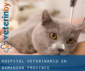 Hospital veterinario en Namangan Province