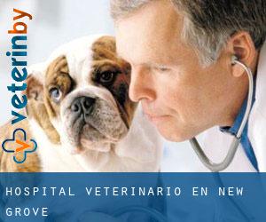 Hospital veterinario en New Grove
