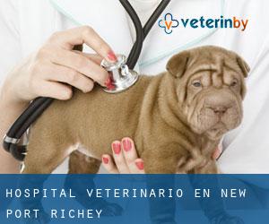 Hospital veterinario en New Port Richey