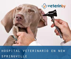 Hospital veterinario en New Springville