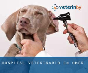 Hospital veterinario en Omer