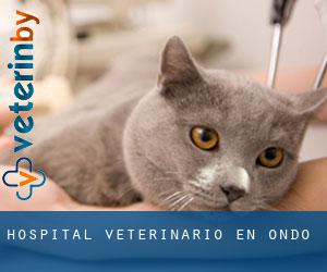 Hospital veterinario en Ondo