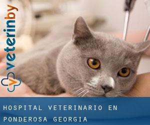 Hospital veterinario en Ponderosa (Georgia)