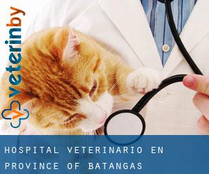 Hospital veterinario en Province of Batangas