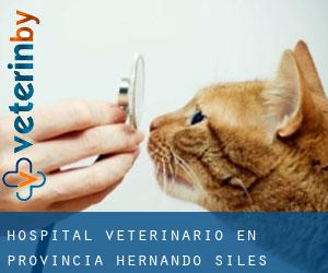 Hospital veterinario en Provincia Hernando Siles