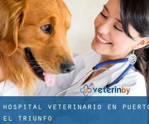 Hospital veterinario en Puerto El Triunfo