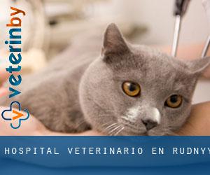 Hospital veterinario en Rudnyy