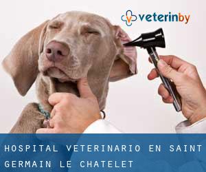 Hospital veterinario en Saint-Germain-le-Châtelet