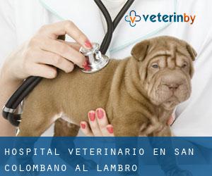 Hospital veterinario en San Colombano al Lambro