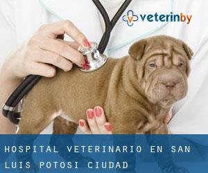 Hospital veterinario en San Luis Potosí (Ciudad)