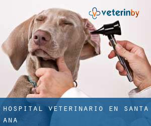 Hospital veterinario en Santa Ana