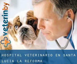 Hospital veterinario en Santa Lucía La Reforma