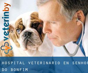 Hospital veterinario en Senhor do Bonfim