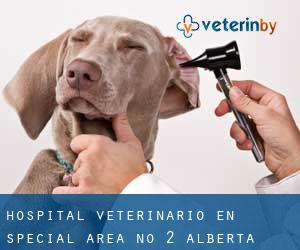 Hospital veterinario en Special Area No. 2 (Alberta)