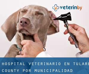 Hospital veterinario en Tulare County por municipalidad - página 1