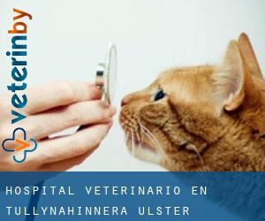 Hospital veterinario en Tullynahinnera (Úlster)