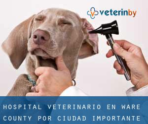 Hospital veterinario en Ware County por ciudad importante - página 1