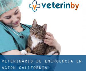 Veterinario de emergencia en Acton (California)