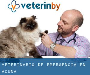 Veterinario de emergencia en Acuña