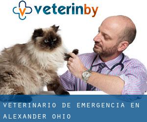 Veterinario de emergencia en Alexander (Ohio)